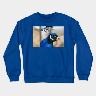 Peacock Crewneck Sweatshirt